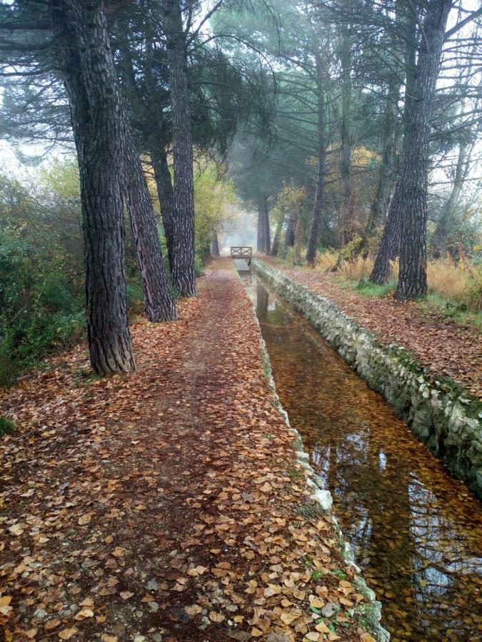 Апартаменти La Laguna Лагуна-де-Дуеро Екстер'єр фото